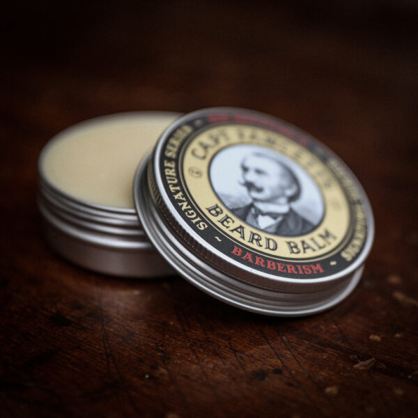 Beard oil or Beard Balm Blog