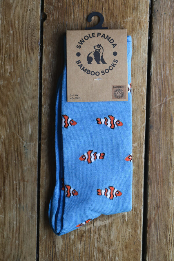 Blue socks orange clown fish