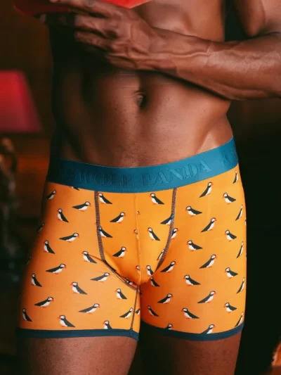 Swole Panda Bamboo Boxers - Puffin