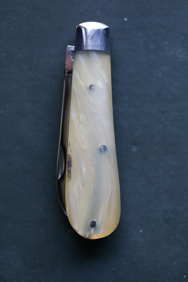 Taylor's Eye Witness - Handmade Lambfoot Pocket Knife - Ramshorn - Image 5