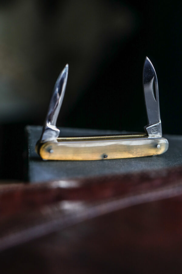 Taylor's Eye Witness - Handmade Twin Blade Pen Knife - Ramshorn