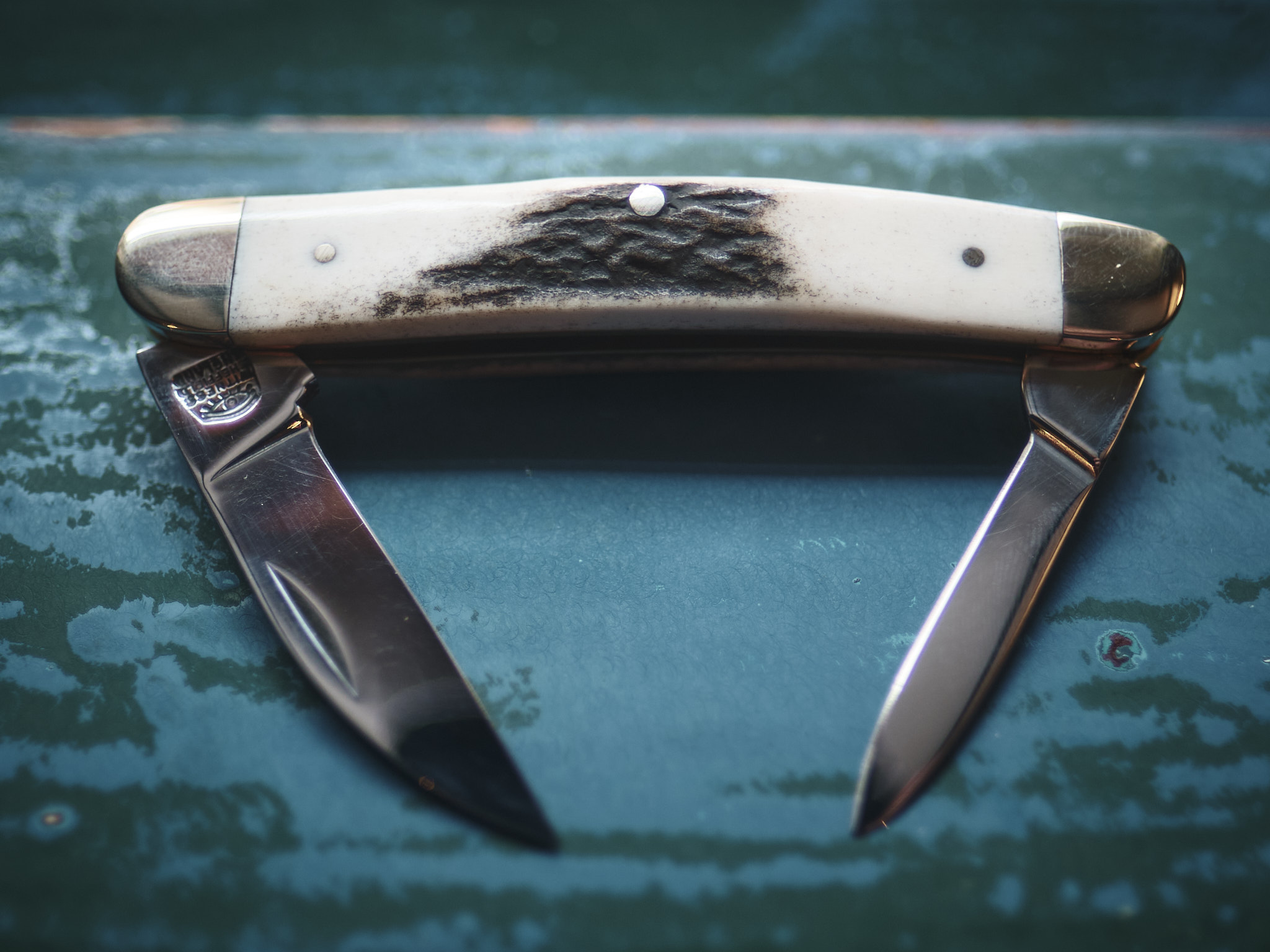 Taylor's Eye Witness - Twin Blade Pen Knife - Stag - Image 2