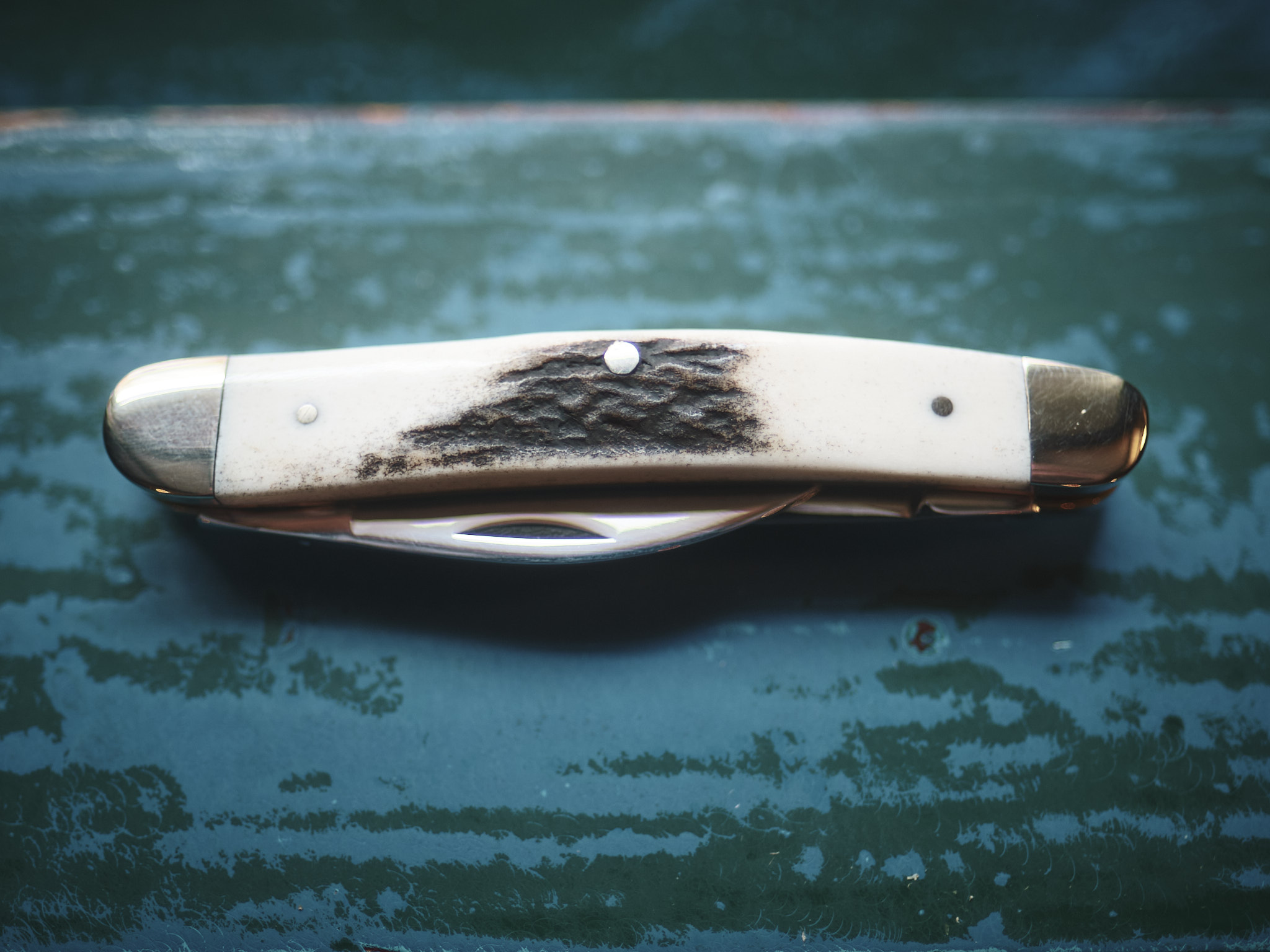 Taylor's Eye Witness - Twin Blade Pen Knife - Stag - Image 4