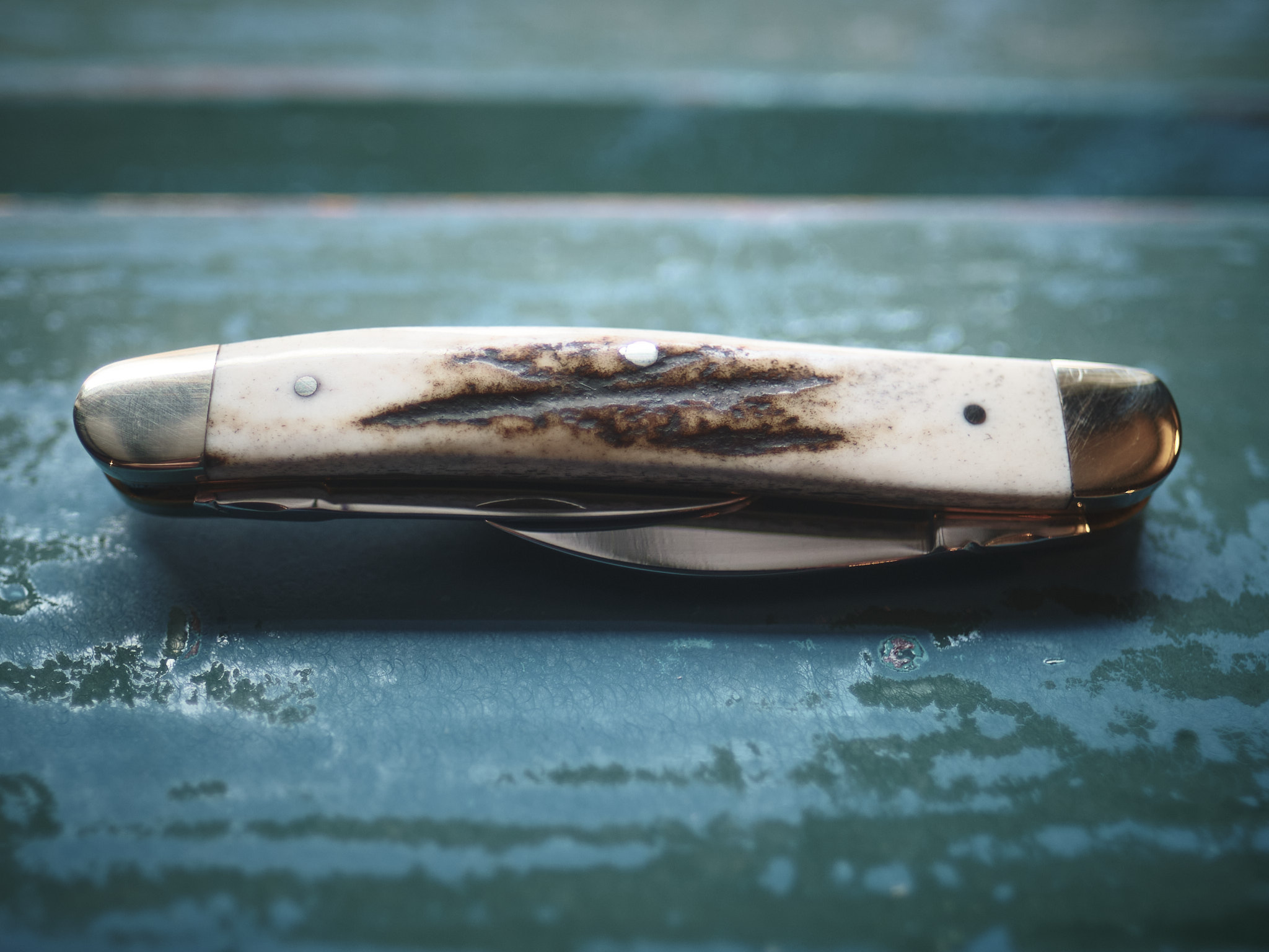 Taylor's Eye Witness - Twin Blade Pen Knife - Stag - Image 5