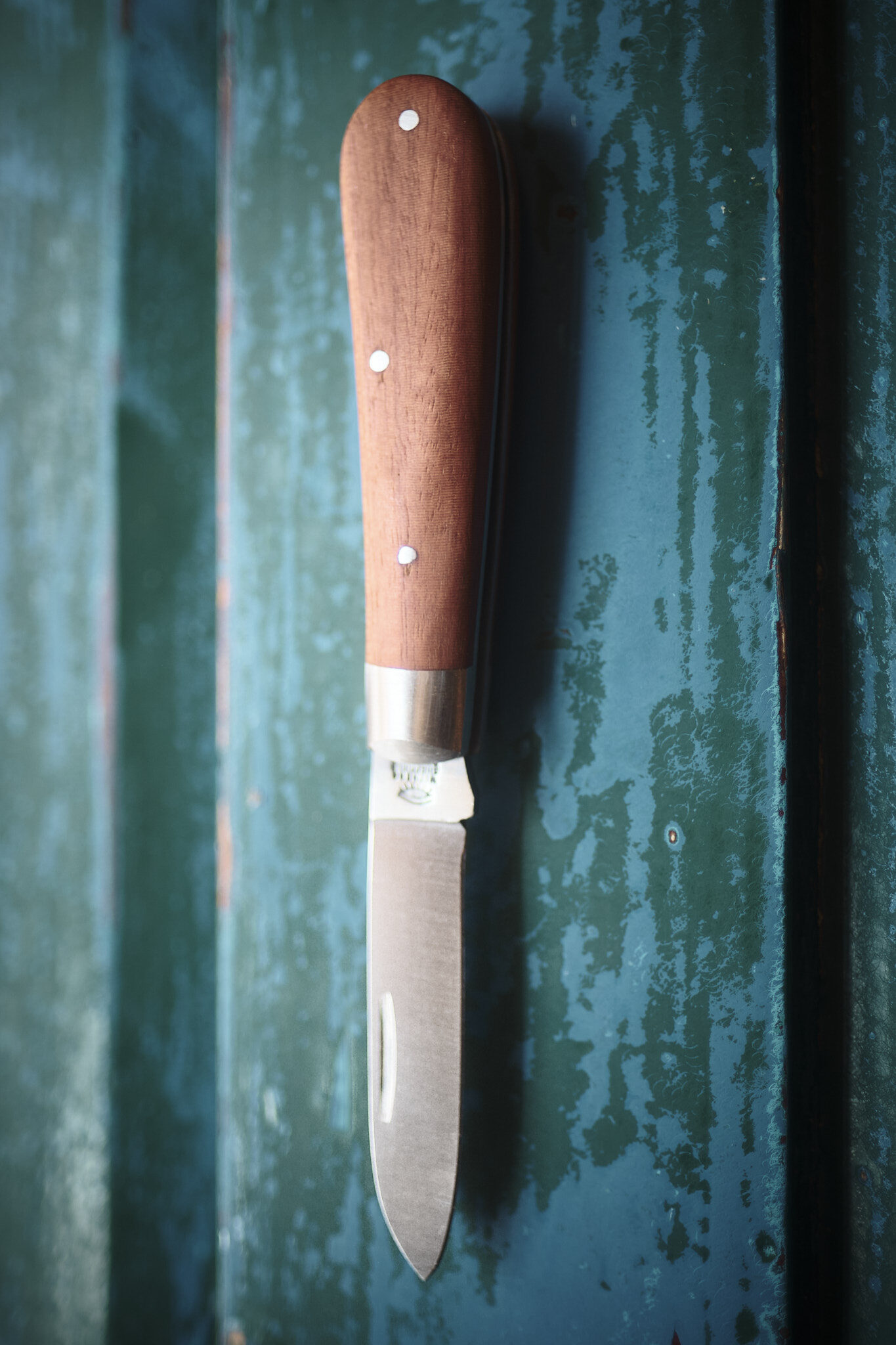Taylor's Eye Witness - Spearpoint - Bolstered Hardwood